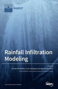bokomslag Rainfall Infiltration Modeling