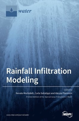 Rainfall Infiltration Modeling 1