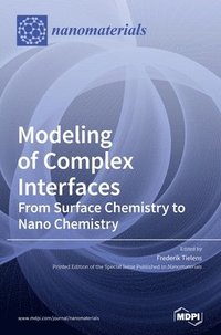 bokomslag Modeling of Complex Interfaces
