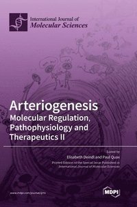 bokomslag Arteriogenesis