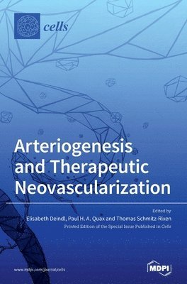 Arteriogenesis and Therapeutic Neovascularization 1