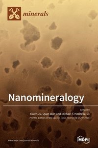 bokomslag Nanomineralogy