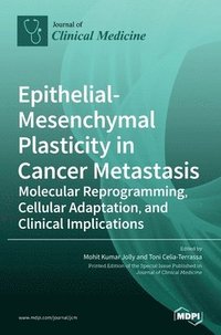bokomslag Epithelial-Mesenchymal Plasticity in Cancer Metastasis