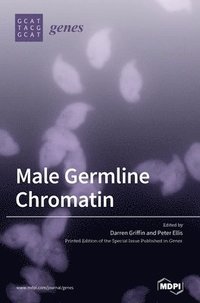 bokomslag Male Germline Chromatin