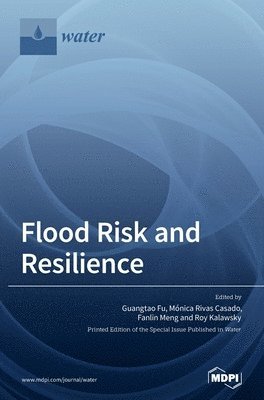 bokomslag Flood Risk and Resilience