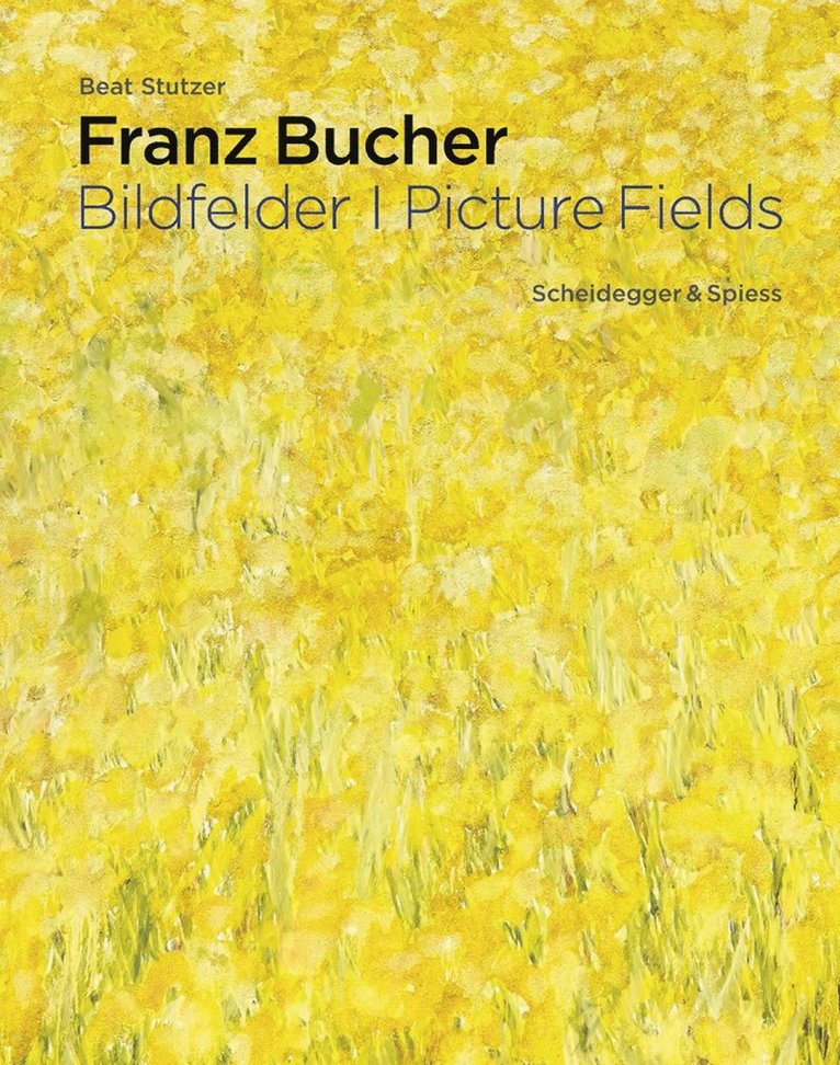 Beat Stutzer - Franz Bucher. Picture Fields, Inbunden