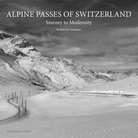bokomslag Alpine Passes of Switzerland