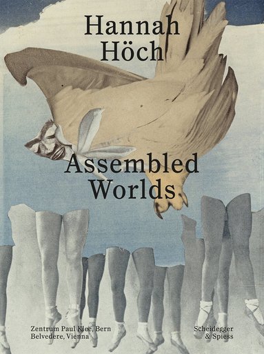 Stella Rollig, Martin Waldmeier, Nina Zimmer - Hannah Höch, Häftad