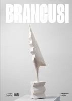 bokomslag Brancusi