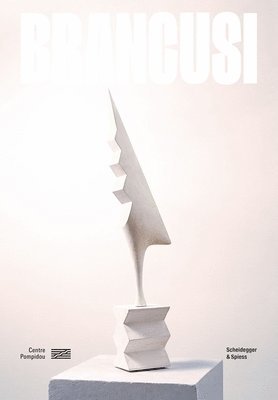 Brancusi 1