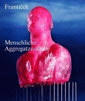 bokomslag Frantisek - Menschliche Aggregatzustände