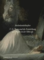 bokomslag Seelenlandschaften