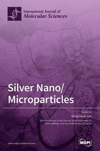 bokomslag Silver Nano/Microparticles
