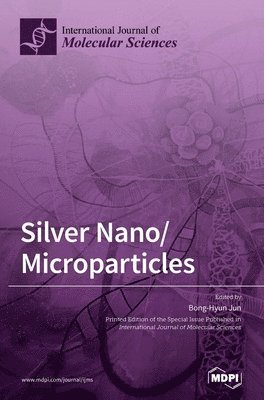 bokomslag Silver Nano/Microparticles