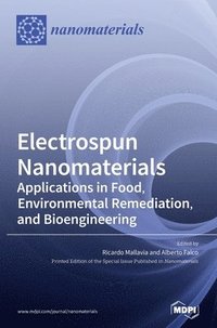 bokomslag Electrospun Nanomaterials
