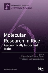 bokomslag Molecular Research in Rice