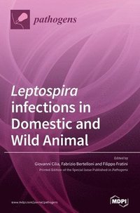 bokomslag Leptospira infections in Domestic and Wild Animal