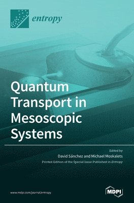 bokomslag Quantum Transport in Mesoscopic Systems