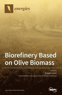 bokomslag Biorefinery Based on Olive Biomass
