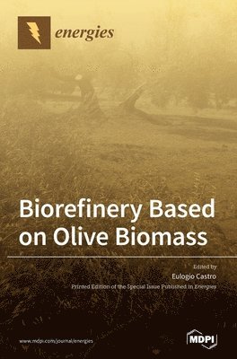 bokomslag Biorefinery Based on Olive Biomass