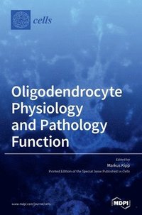 bokomslag Oligodendrocyte Physiology and Pathology Function