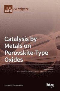 bokomslag Catalysis by Metals on Perovskite-Type Oxides