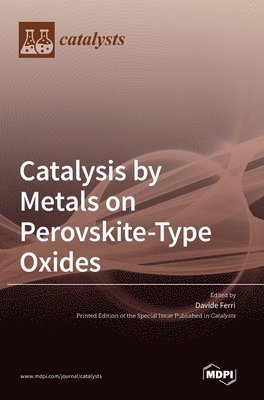 Catalysis by Metals on Perovskite-Type Oxides, Inbunden