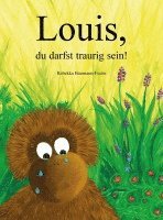 bokomslag Louis, du darfst traurig sein!