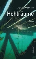 Peter Zimmermann - Hohlräume, Inbunden