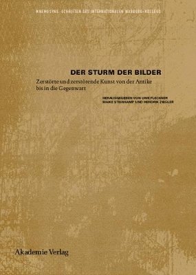 Uwe Fleckner, Maike Steinkamp, Hendrik Ziegler - Sturm der Bilder, Inbunden