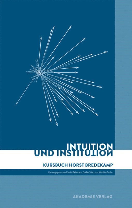 Carolin Behrmann, Matthias Bruhn, Stefan Trinks - Intuition Und Institution, Inbunden
