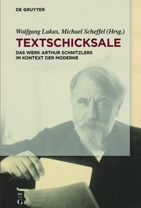 bokomslag Textschicksale