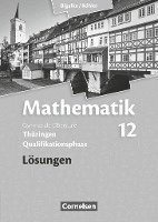 bokomslag Mathematik Sekundarstufe II. 12. Schuljahr. Lösungen zum Schülerbuch. Thüringen