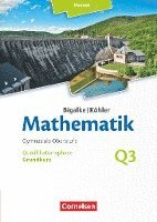 bokomslag Bigalke/Köhler: Mathematik Grundkurs 3. Halbjahr - Hessen - Band Q3