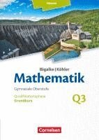 bokomslag Bigalke/Köhler: Mathematik Grundkurs 3. Halbjahr - Hessen - Band Q3