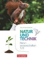 bokomslag Naturwissenschaften Sekundarstufe I 5./6. Schuljahr. Schülerbuch  Berlin/Brandenburg