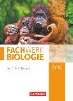 bokomslag Fachwerk Biologie 9./10. Schuljahr - Berlin/Brandenburg - Schülerbuch