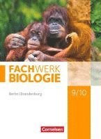 Udo Hampl, Kathrin Janik, Andreas Marquarth, Anke Pohlmann, Peter Pondorf, Reinhold Rehbach, Matthias Ritter, Alexandra Schulte, Ingmar Stelzig, Lysann Tessendorf, Adria Wehser, Josef Johannes Zitzmann - Fachwerk Biologie 9./10. Schuljahr - Berlin/Brandenburg - Schülerbuch, Inbunden