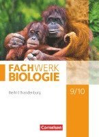 Udo Hampl, Kathrin Janik, Andreas Marquarth, Anke Pohlmann, Peter Pondorf, Reinhold Rehbach, Matthias Ritter, Alexandra Schulte, Ingmar Stelzig, Lysann Tessendorf, Adria Wehser, Josef Johannes Zitzmann - Fachwerk Biologie 9./10. Schuljahr - Berlin/Brandenburg - Schülerbuch, Inbunden