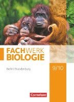 Fachwerk Biologie 9./10. Schuljahr - Berlin/Brandenburg - Schülerbuch 1