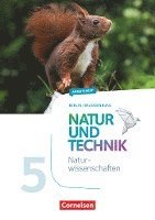 bokomslag Natur und Technik 5./6. Schuljahr: Naturwissenschaften - Arbeitsheft - 5. Schuljahr. Berlin/Brandenburg
