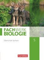 bokomslag Fachwerk Biologie - Sachsen. 5. Schuljahr - neuer Lehrplan - Schülerbuch - Neubearbeitung