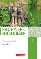 bokomslag Fachwerk Biologie - Sachsen. 5. Schuljahr - neuer Lehrplan - Arbeitsheft - Neubearbeitung