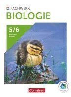 bokomslag Fachwerk Biologie 5./6. Schuljahr - Schulbuch