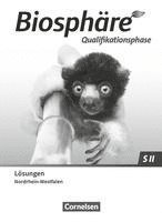 bokomslag Biosphäre Sekundarstufe II 2.0 Qualifikationsphase. Nordrhein-Westfalen - Lösungen zum Schulbuch