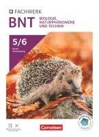bokomslag Fachwerk Naturwissenschaften 5./6. Schuljahr: Biologie, Naturphänomene und Technik - Baden-Württemberg 2025 - Schulbuch