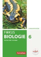 bokomslag Fokus Biologie 6. Jahrgangsstufe - Gymnasium Bayern - Natur und Technik: Biologie