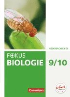 bokomslag Fokus Biologie 9./10. Schuljahr - Gymnasium Niedersachsen G9 - Schülerbuch