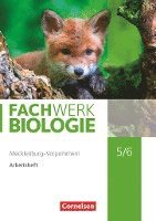 bokomslag Fachwerk Biologie 5./6. Schuljahr - Mecklenburg-Vorpommern - Arbeitsheft