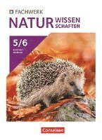 bokomslag Fachwerk Naturwissenschaften Band 1: 5./6. Schuljahr - Nordrhein-Westfalen - Schülerbuch